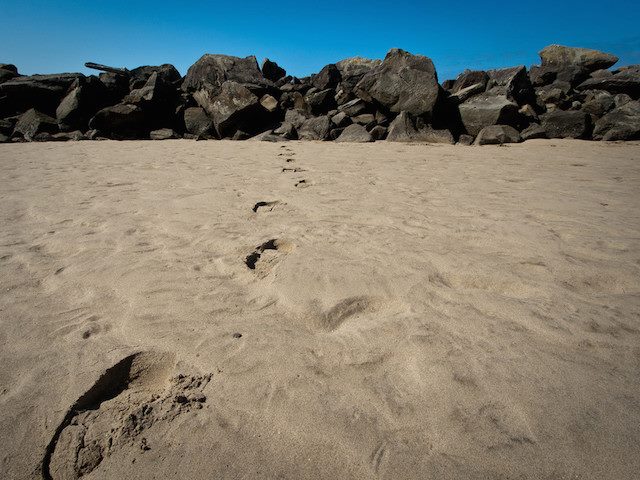 footprints in sand disappearing into horizon