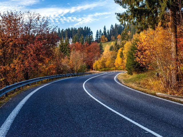 Turn on the road through the forest in autumn country, representing what's ahead for the digital customer experience software space.