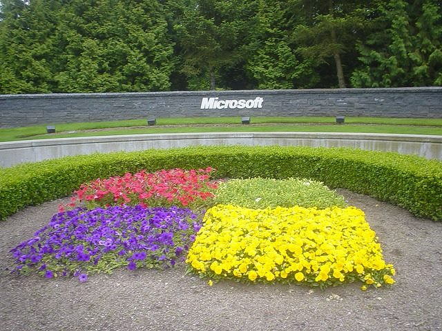 microsoft logo
