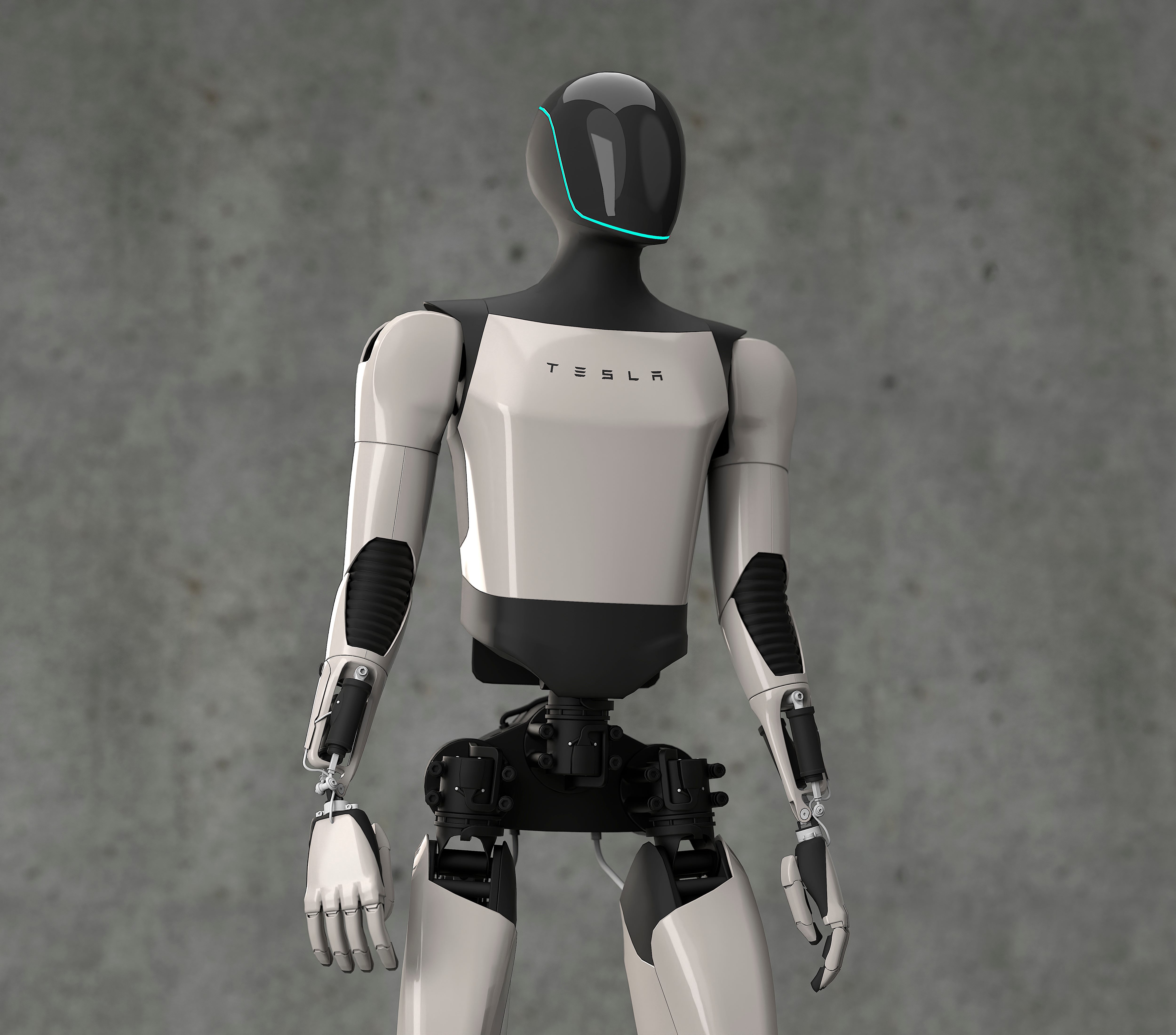 Tesla Humanoid Robot Optimus