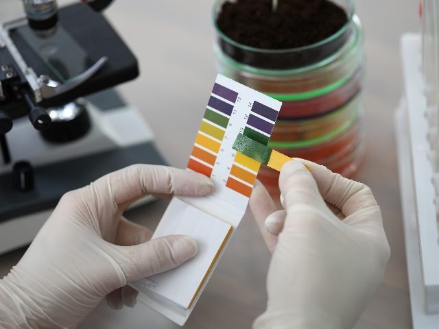 Hands holding litmus test paper for soil analysis. 