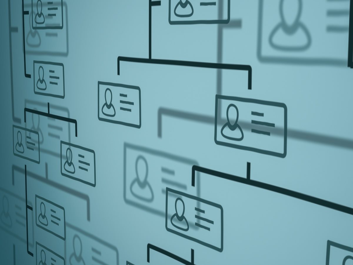 organization chart concept