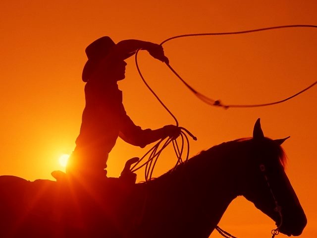 Cowboy on a horse prepares to throw lasso with orange sunset in background.