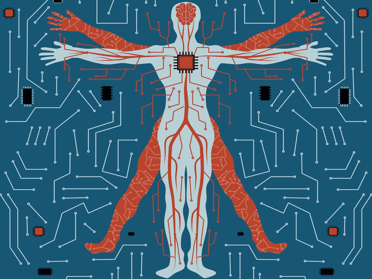 human anatomy with circuit line and brain conected to processor