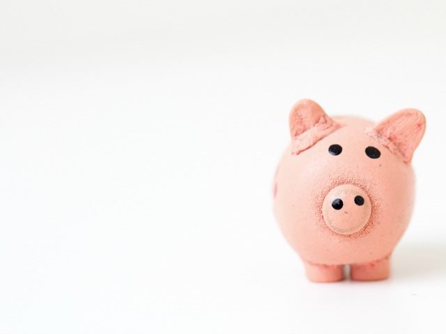 piggy bank
