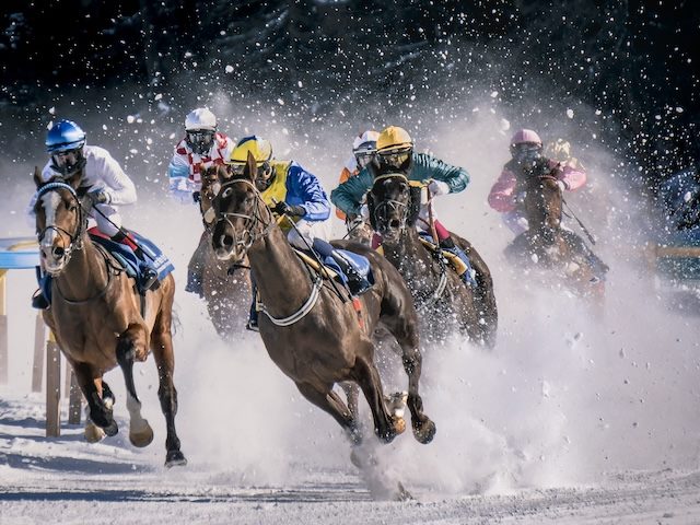 a literal horse race, not to be mistaken for the horse race among all of the generative AI vendors