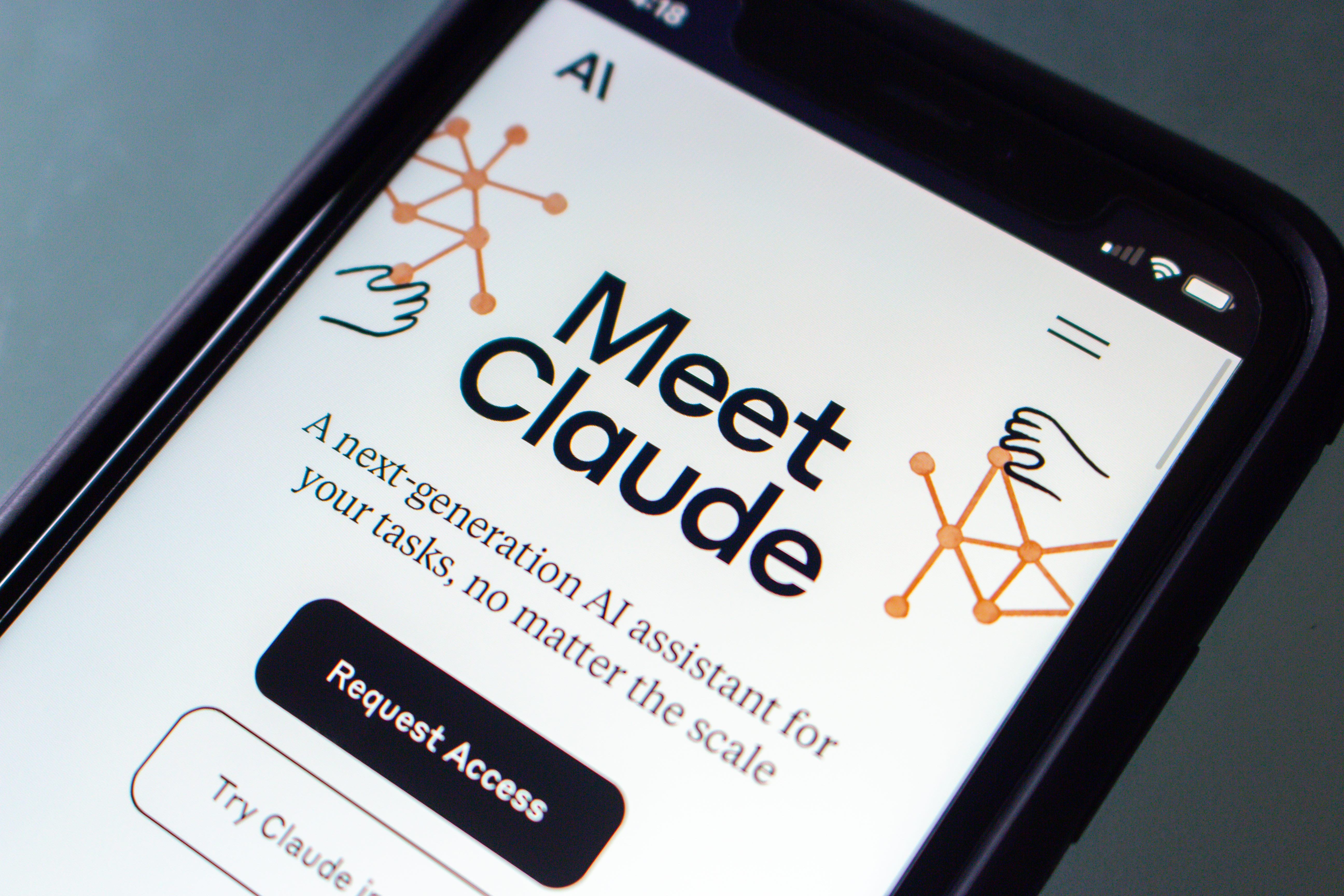 Anthropic's Claude AI tool.