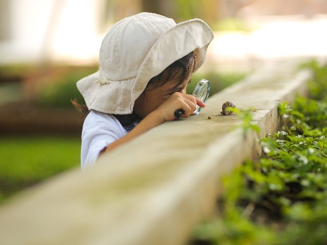 Little girl wearing a white hat and jeans jumpsuit and exploring nature with a magnifying glass. 