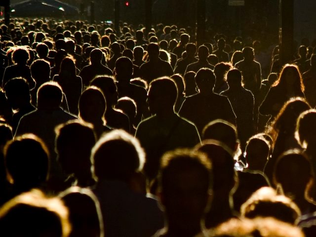 Humans in a crowd.