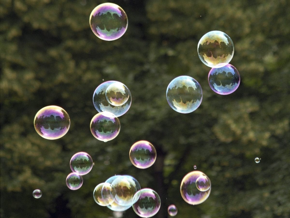 bubbles floating through the air, a leafy tree in the background