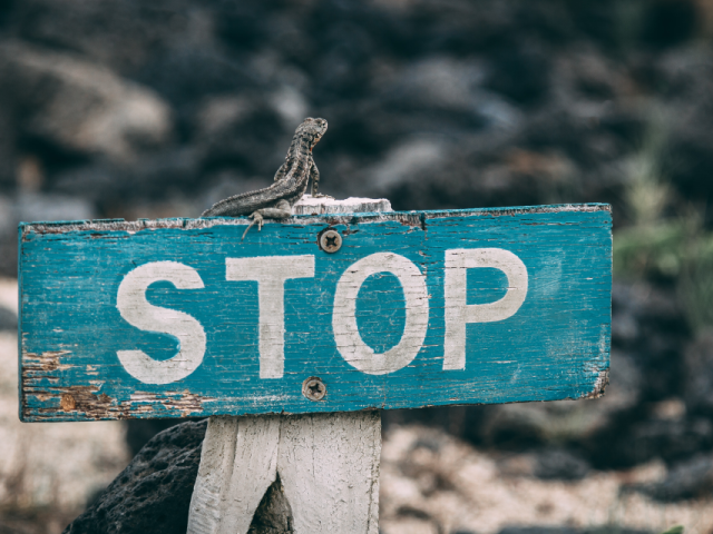 A blue sign with the word STOP in white, in Galapagos Islands, Ecuador