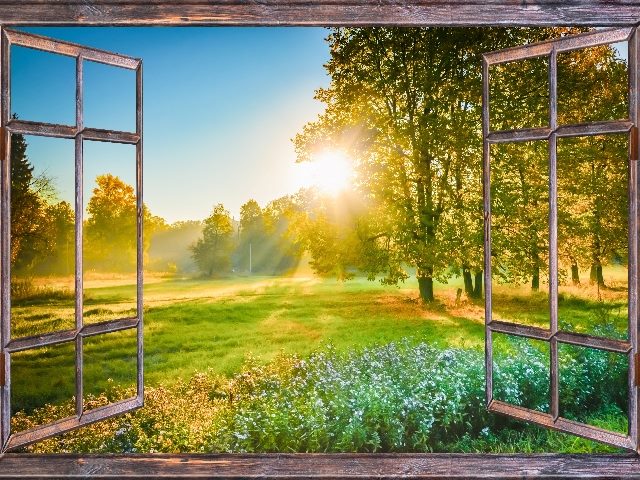 A beautiful sunrise view from a paned window with green grass and trees visible and wildflowers along a dirt road going up a hill, indicating  opportunities of Net Promoter Score.