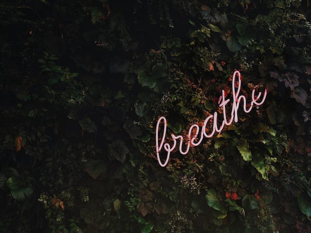 neon sign in the middle of ivy that reads "breathe"