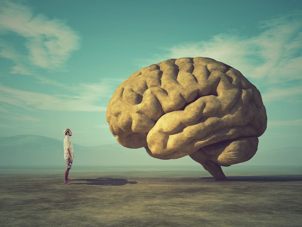 large stone in the shape of the human brain 