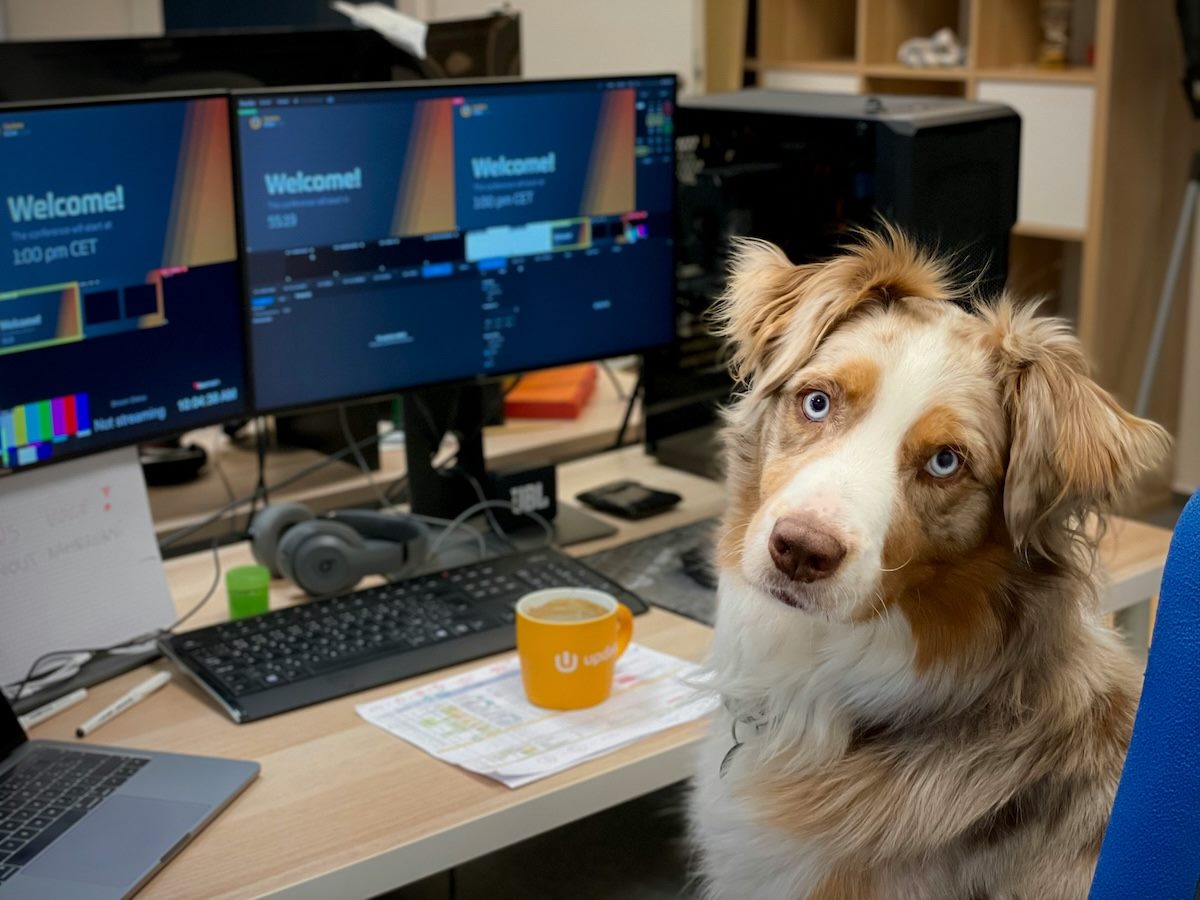 dog sitting at a desk, facing the camera, with a number of monitors set up behind it