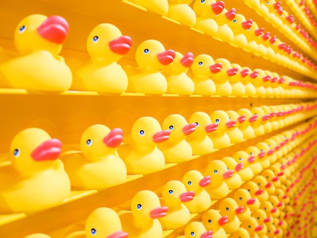 rows of rubber ducks