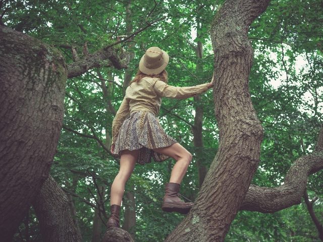 Woman wearing safari hat climbing tree