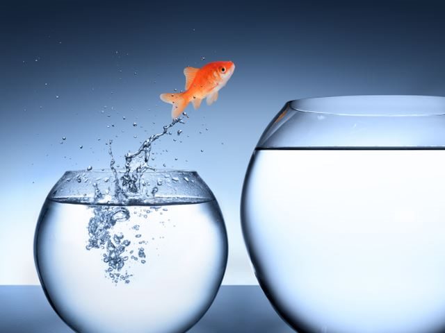 A goldfish jumping from a small water bowl to a much larger one - overcoming challenges concept